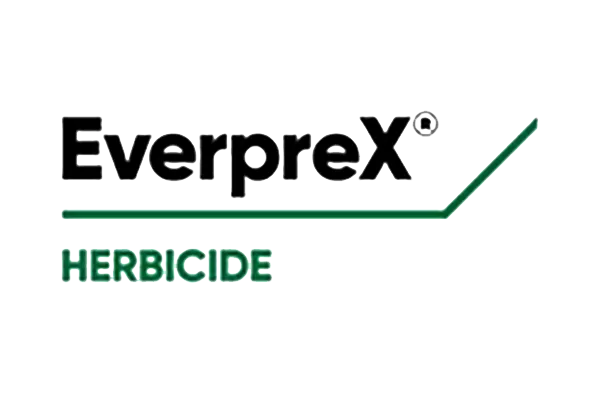 EverpreX_600px
