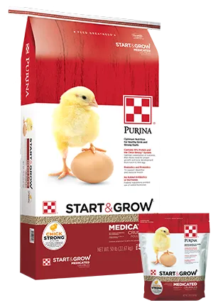 Flock_Purina-Start-Grow-Medicated_50-lb-5-lb-bags