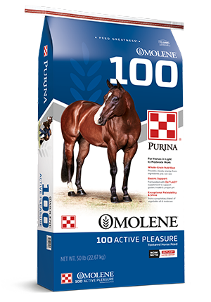 Horse_Omolene100