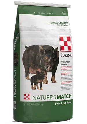 Purina_Pig_SowPig_FINAL_rs_1